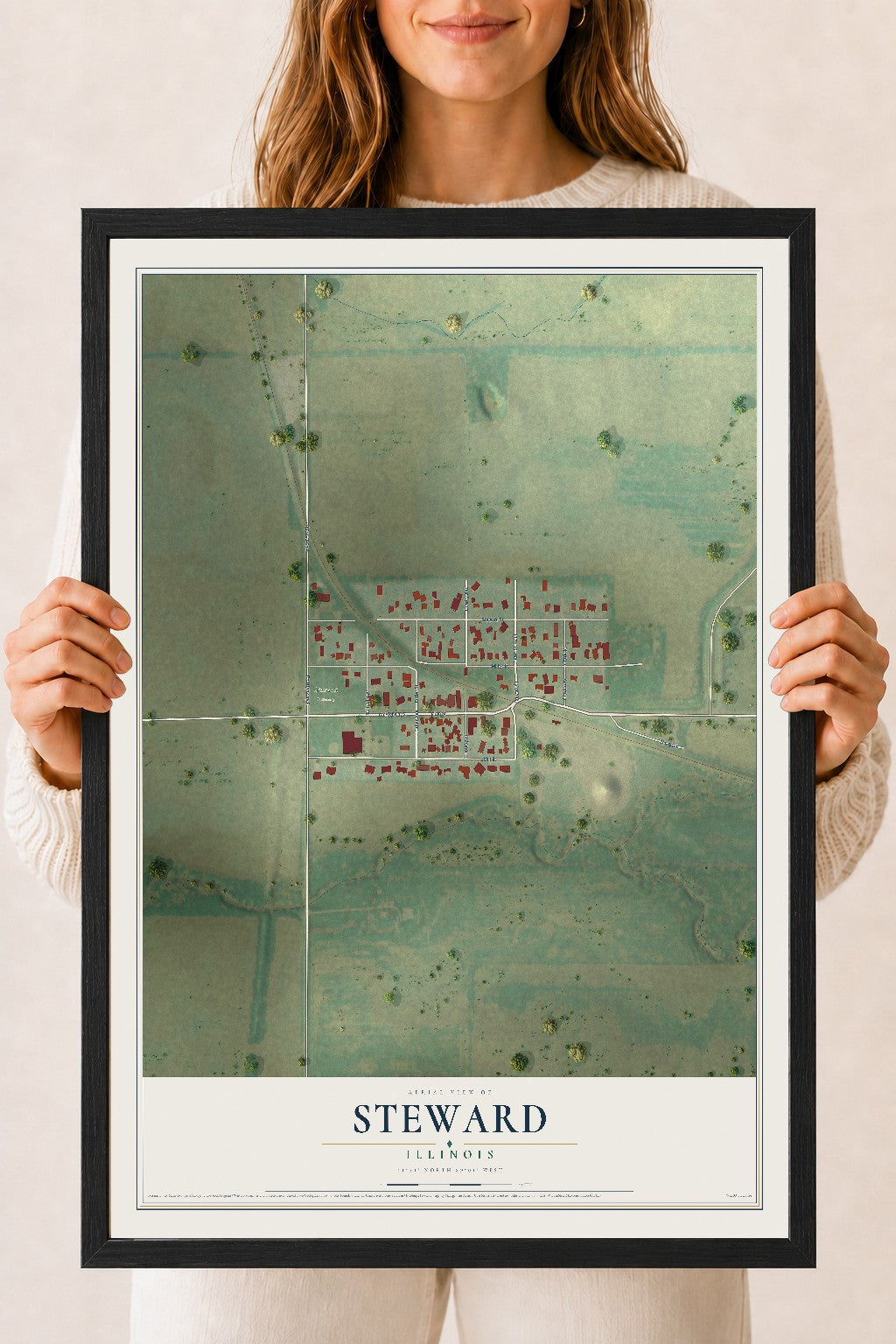 Map of Steward, Illinois, 18 x 24 inch print in a black wood frame
