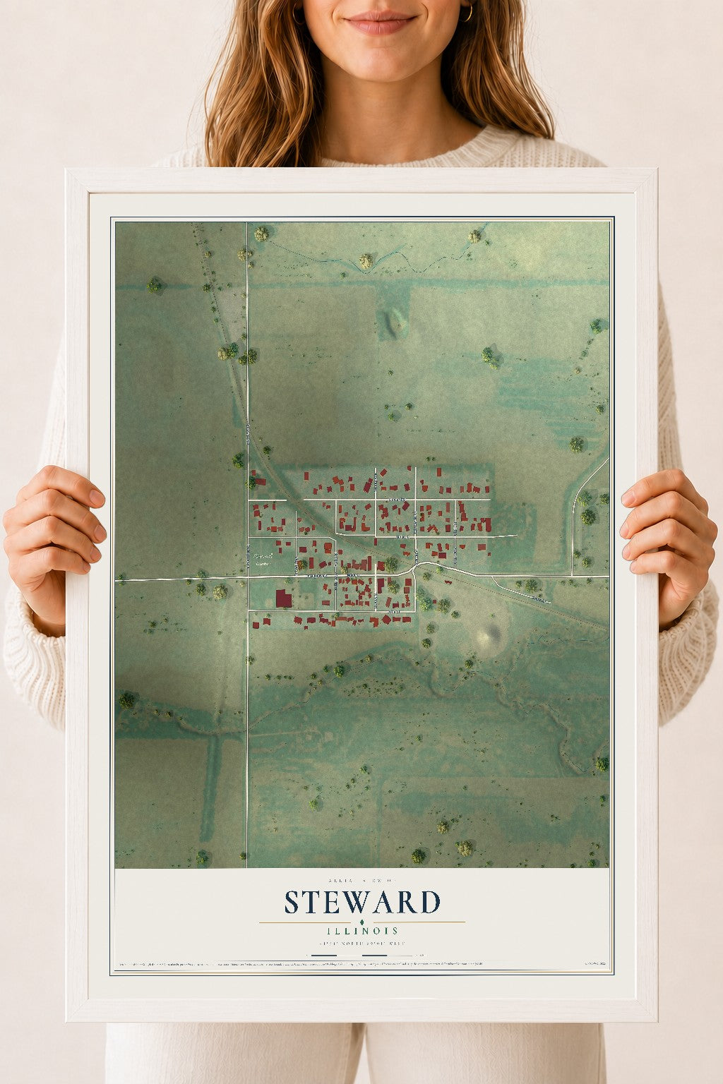 Map of Steward, Illinois, 18 x 24 inch print in a white wood frame