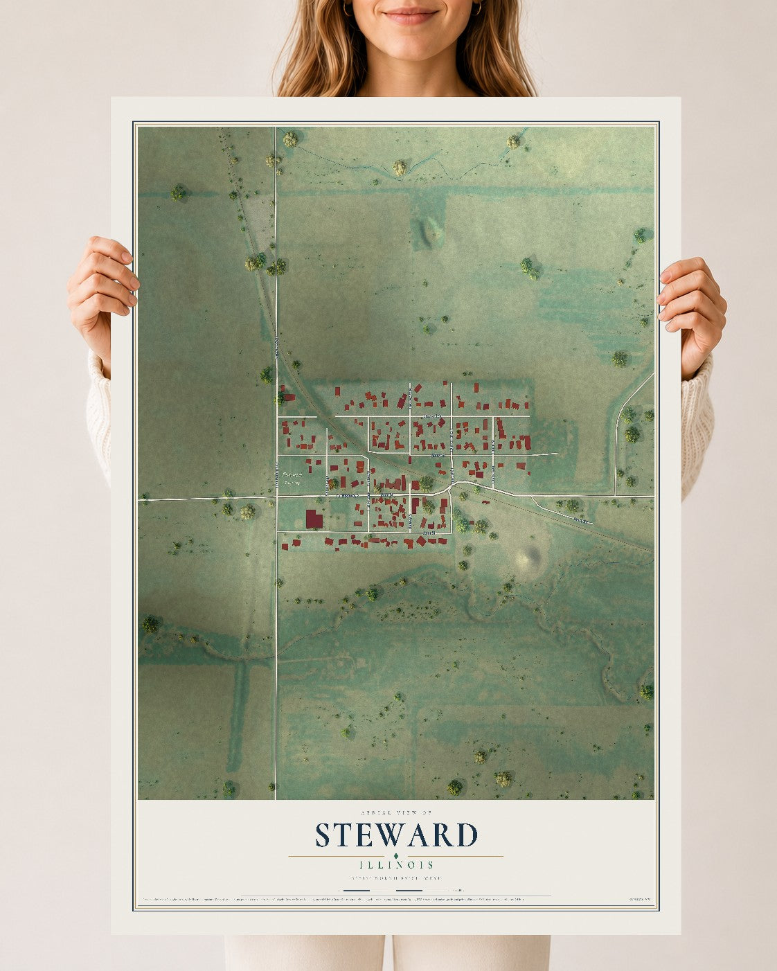 Map of Steward, Illinois, 24 x 36 inch unframed archival matte print