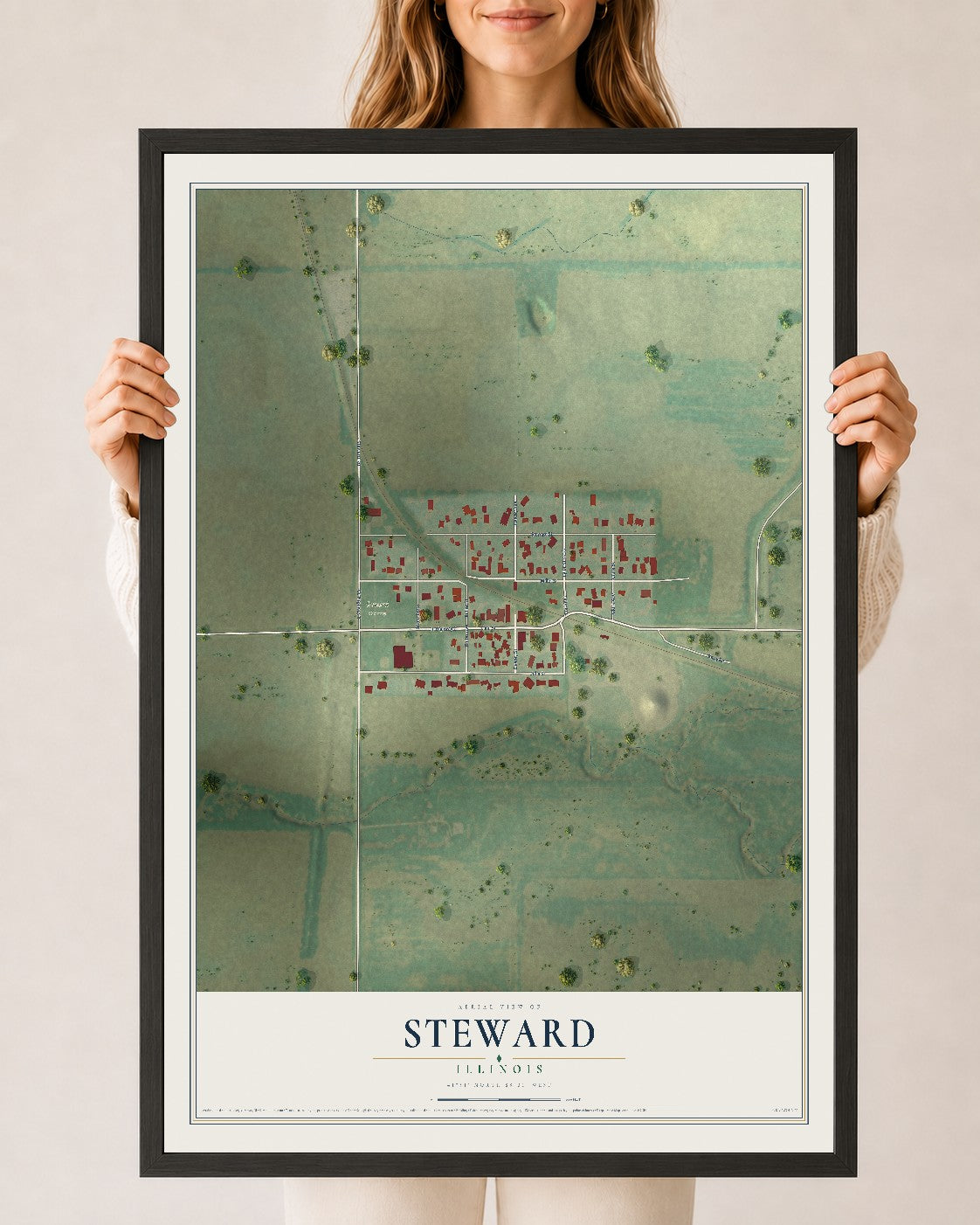 Map of Steward, Illinois, 24 x 36 inch print in a black wood frame