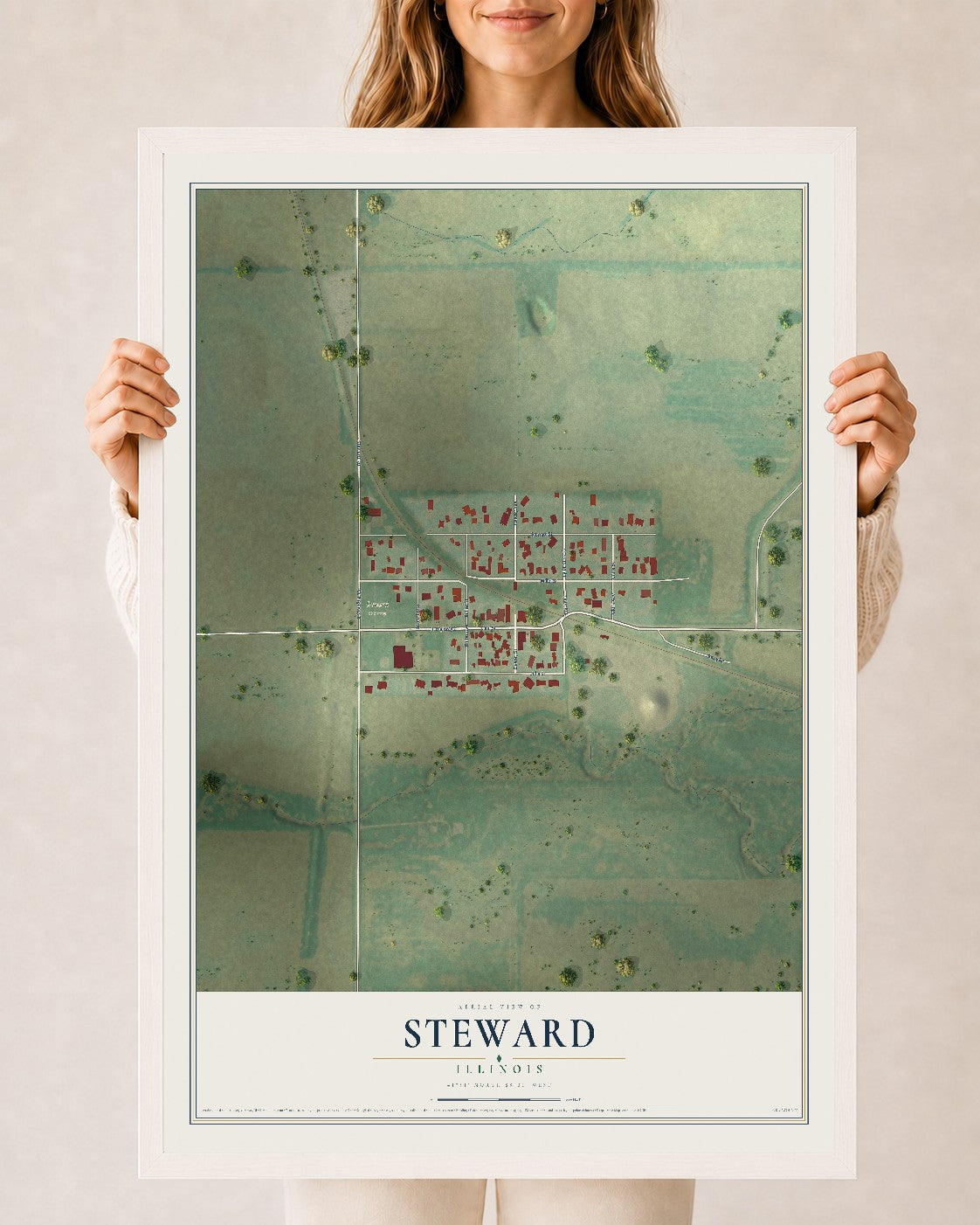 Map of Steward, Illinois, 24 x 36 inch print in a white wood frame