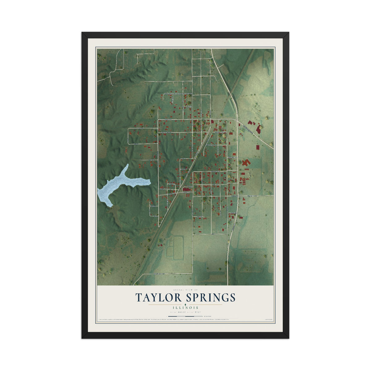 Map of Taylor Springs, Illinois, 12 x 18 inch print in a black wood frame