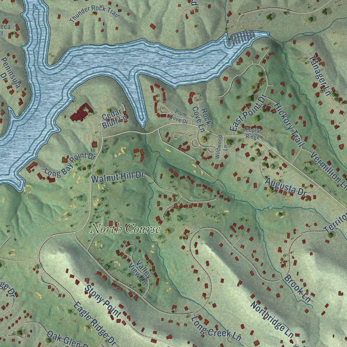 Close-up of the map of The Galena Territory, Illinois print showing street and building detail