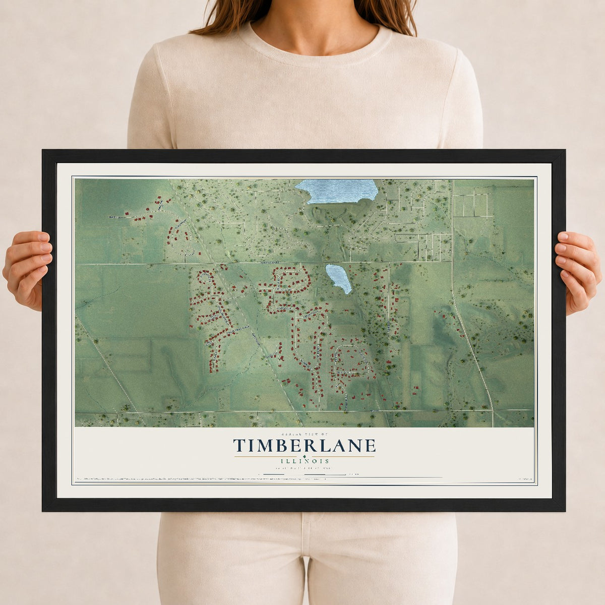 Map of Timberlane, Illinois, 12 x 18 inch print in a black wood frame
