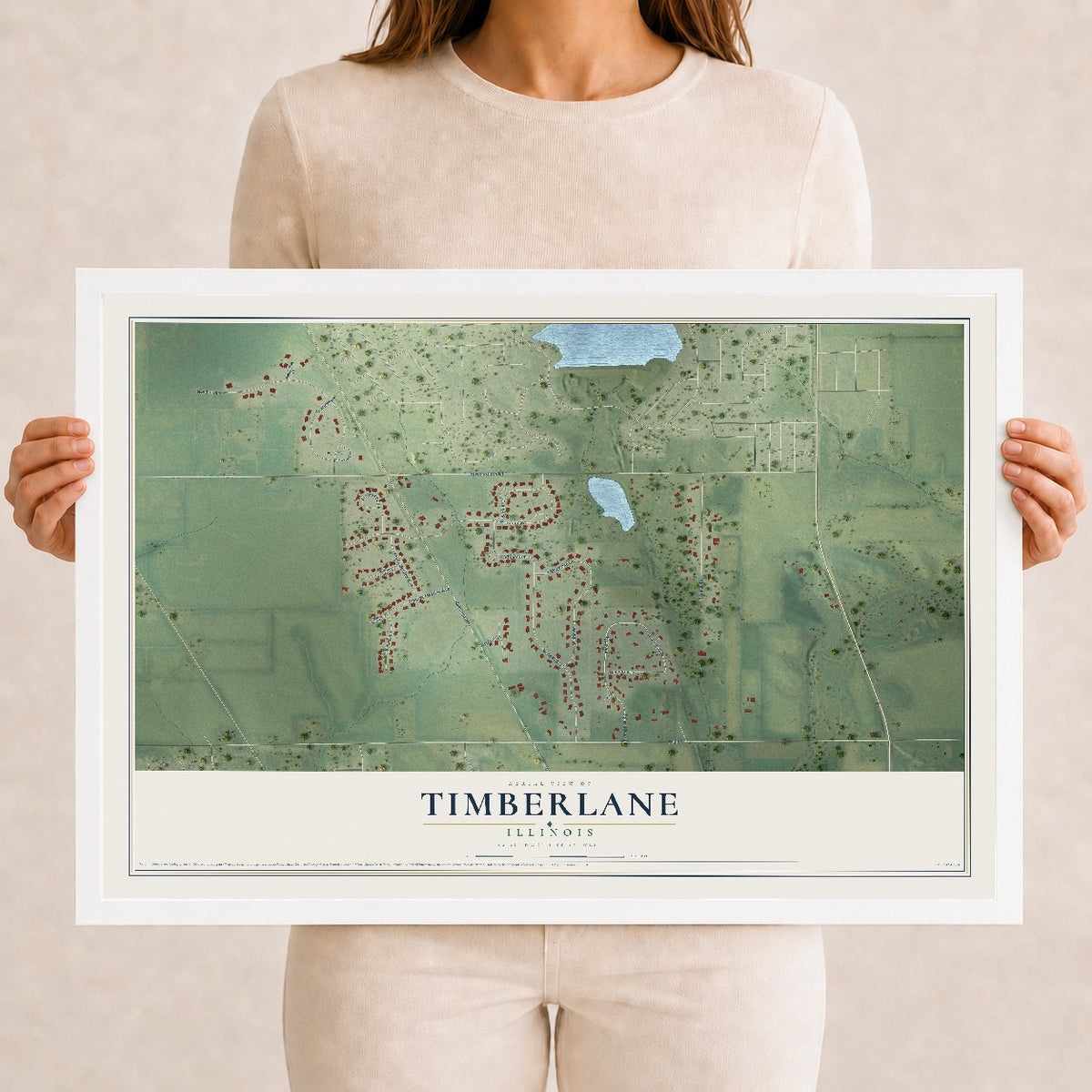Map of Timberlane, Illinois, 12 x 18 inch print in a white wood frame