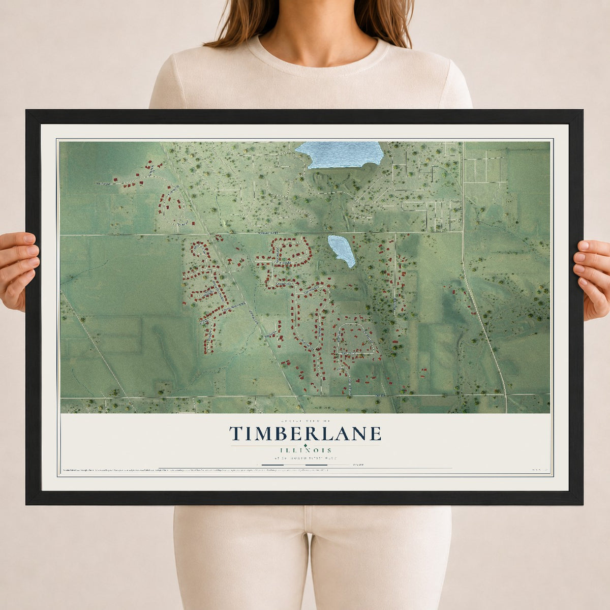 Map of Timberlane, Illinois, 18 x 24 inch print in a black wood frame
