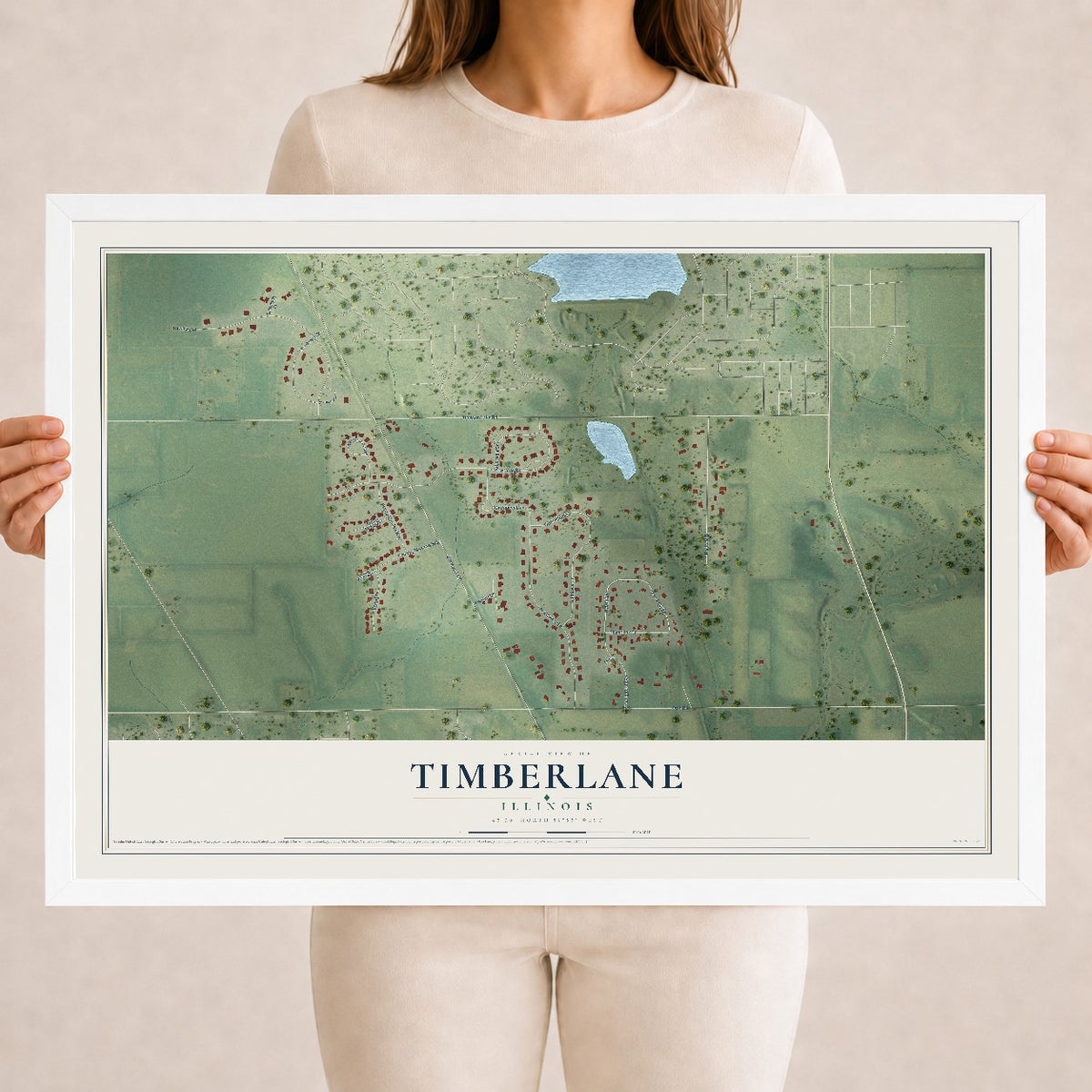 Map of Timberlane, Illinois, 18 x 24 inch print in a white wood frame