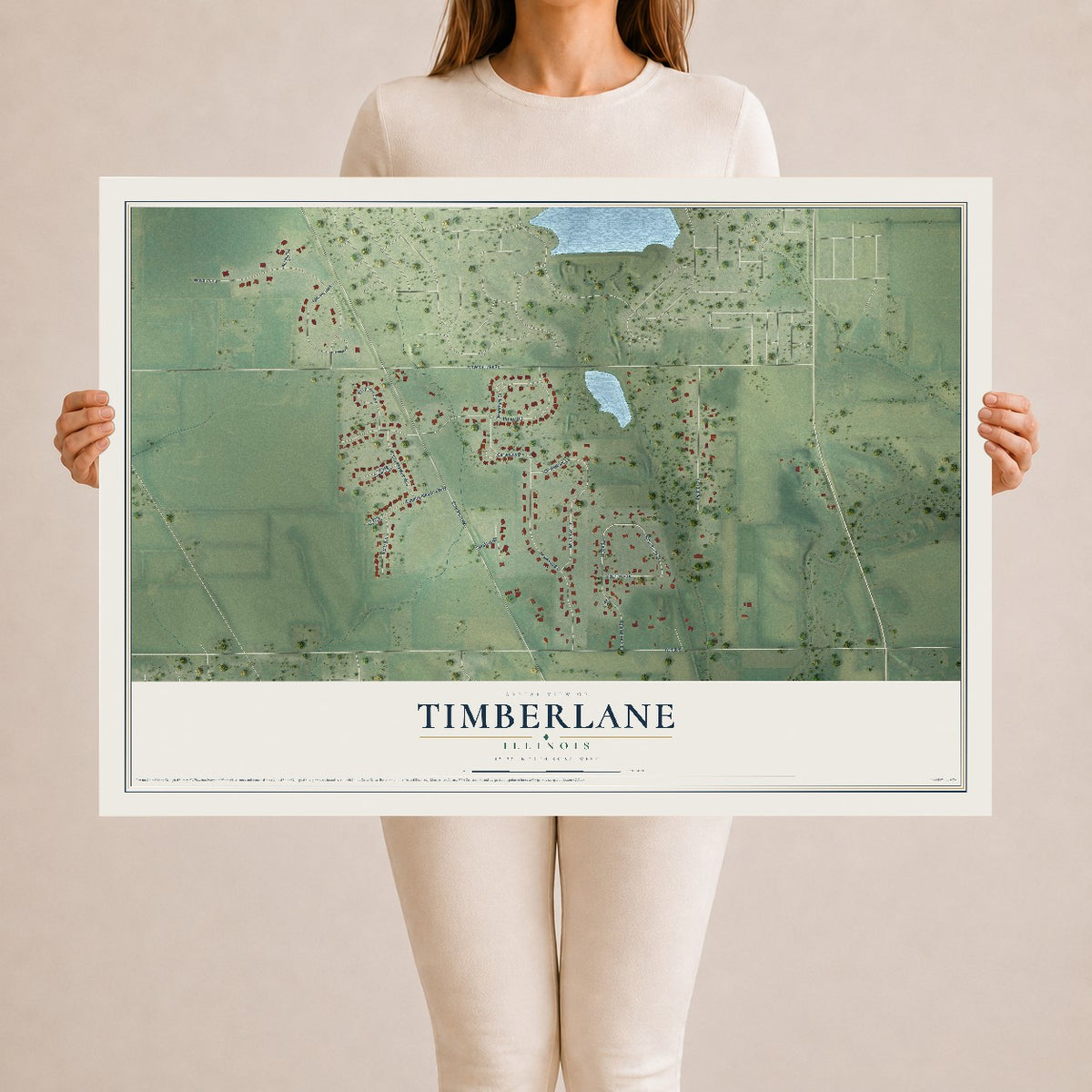 Map of Timberlane, Illinois, 24 x 36 inch unframed archival matte print