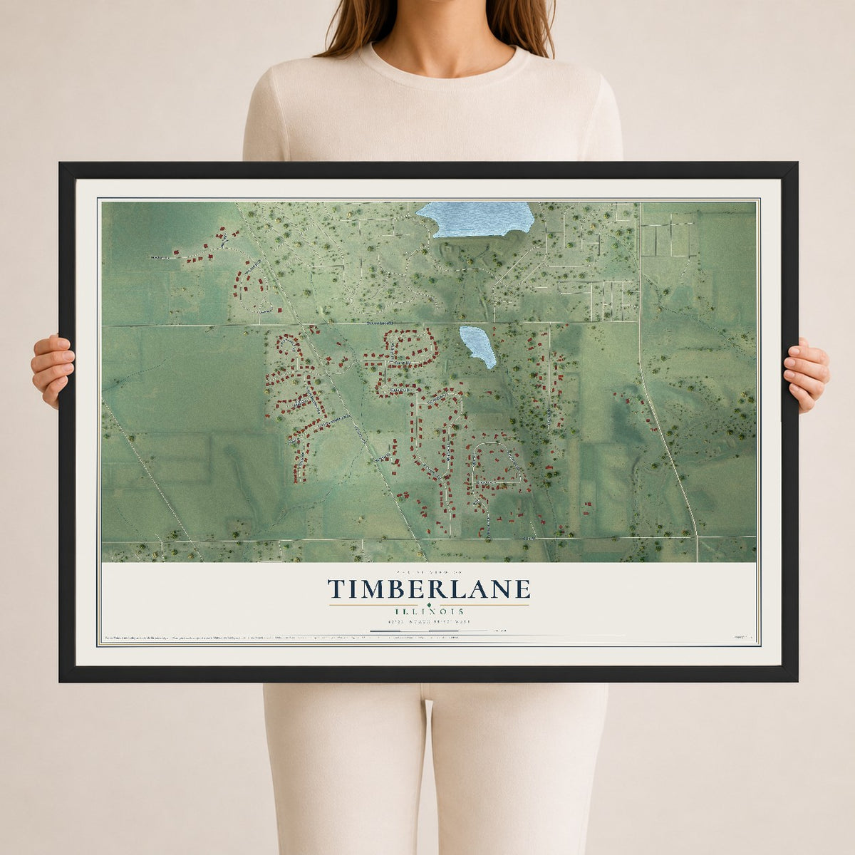 Map of Timberlane, Illinois, 24 x 36 inch print in a black wood frame