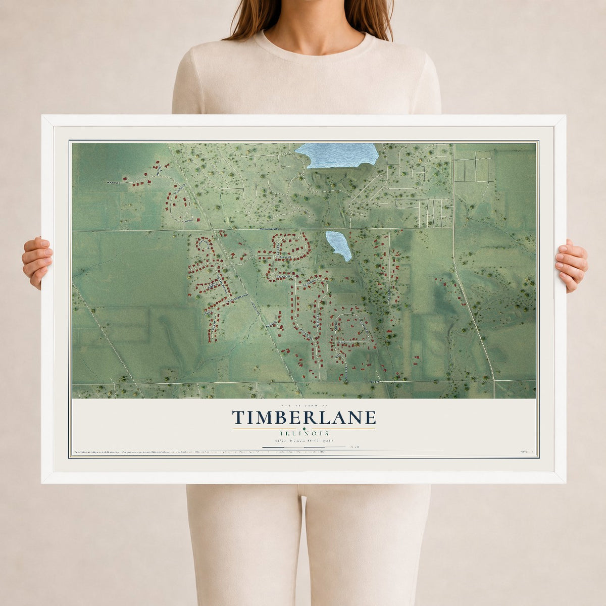 Map of Timberlane, Illinois, 24 x 36 inch print in a white wood frame