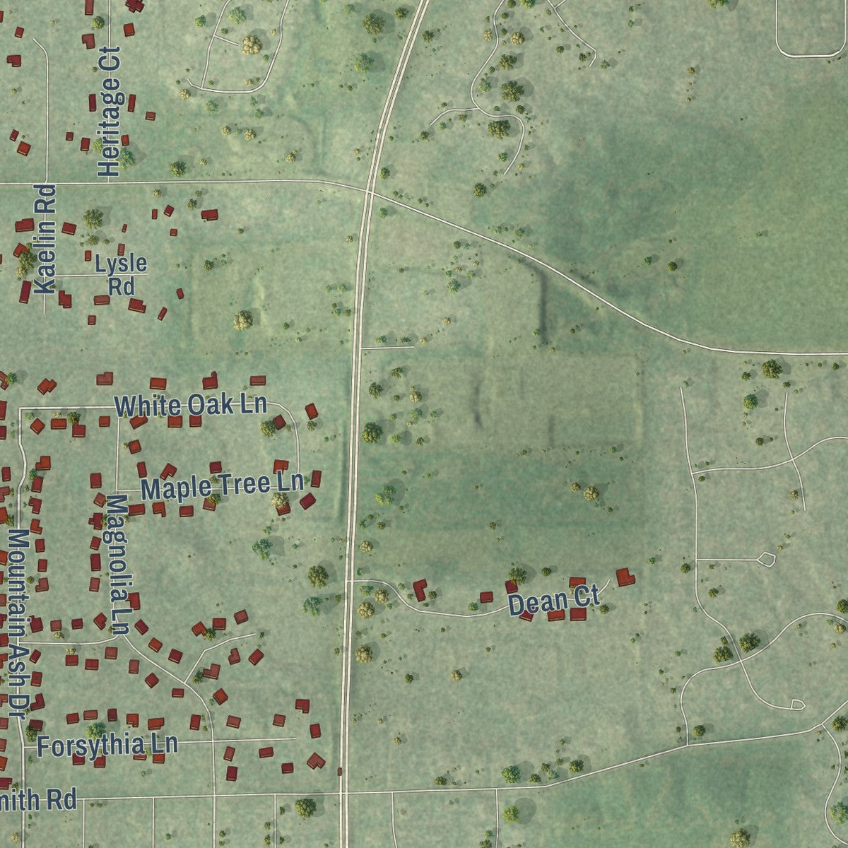 Close-up of the map of Wayne, Illinois print showing street and building detail