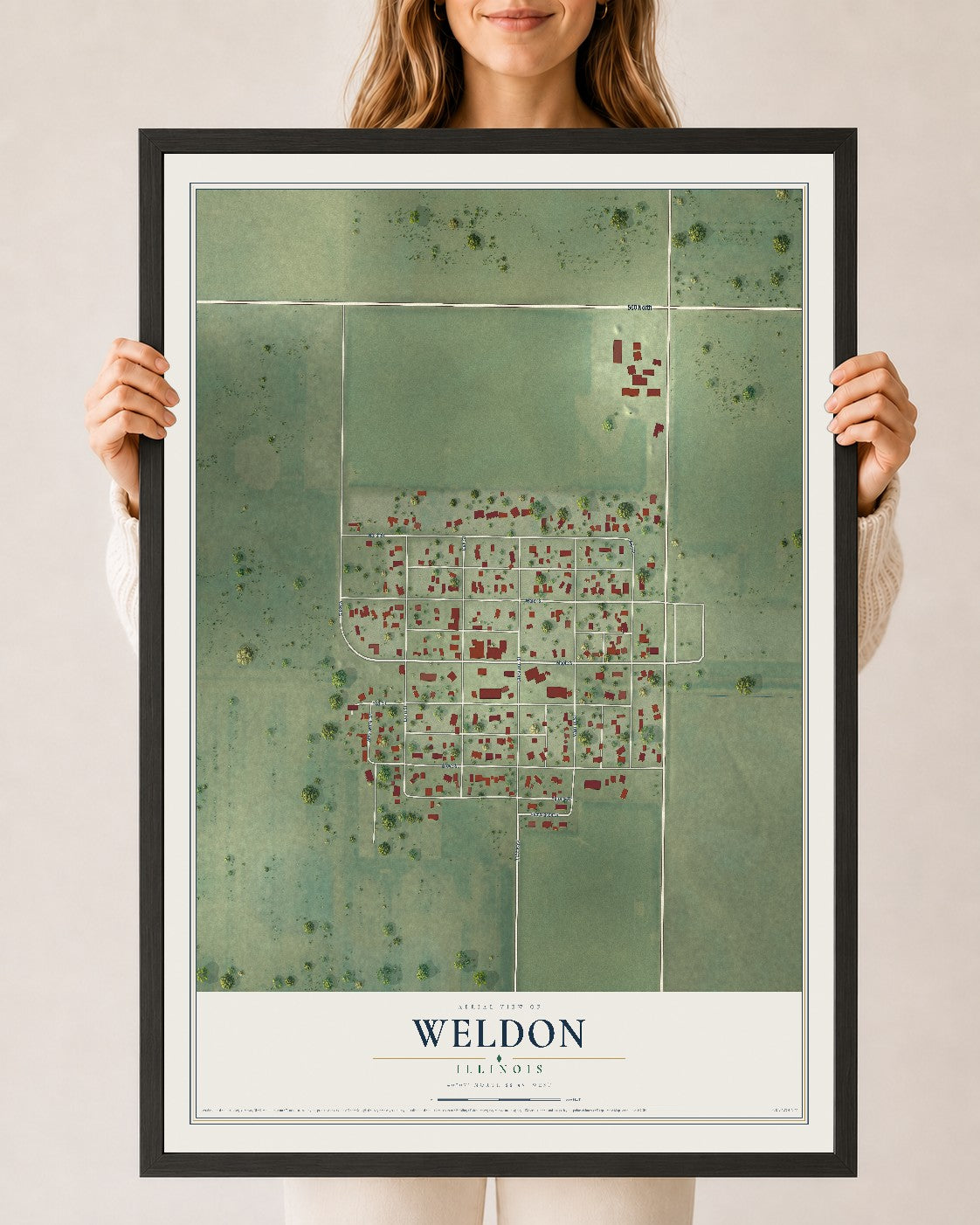 Map of Weldon, Illinois, 24 x 36 inch print in a black wood frame