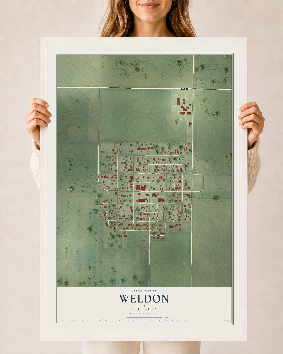 Map of Weldon, Illinois, 24 x 36 inch print in a white wood frame