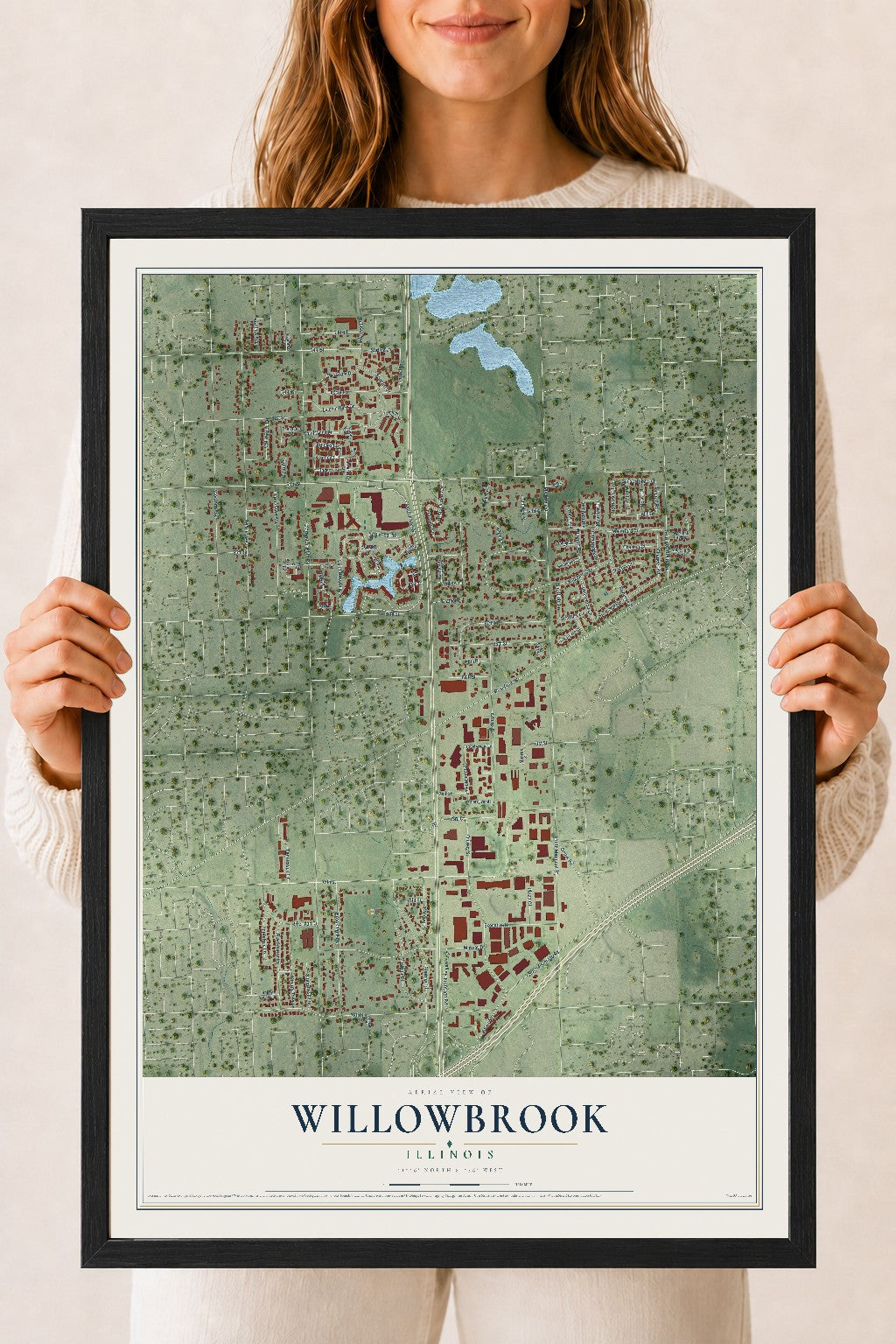 Map of Willowbrook, Illinois, 18 x 24 inch print in a black wood frame