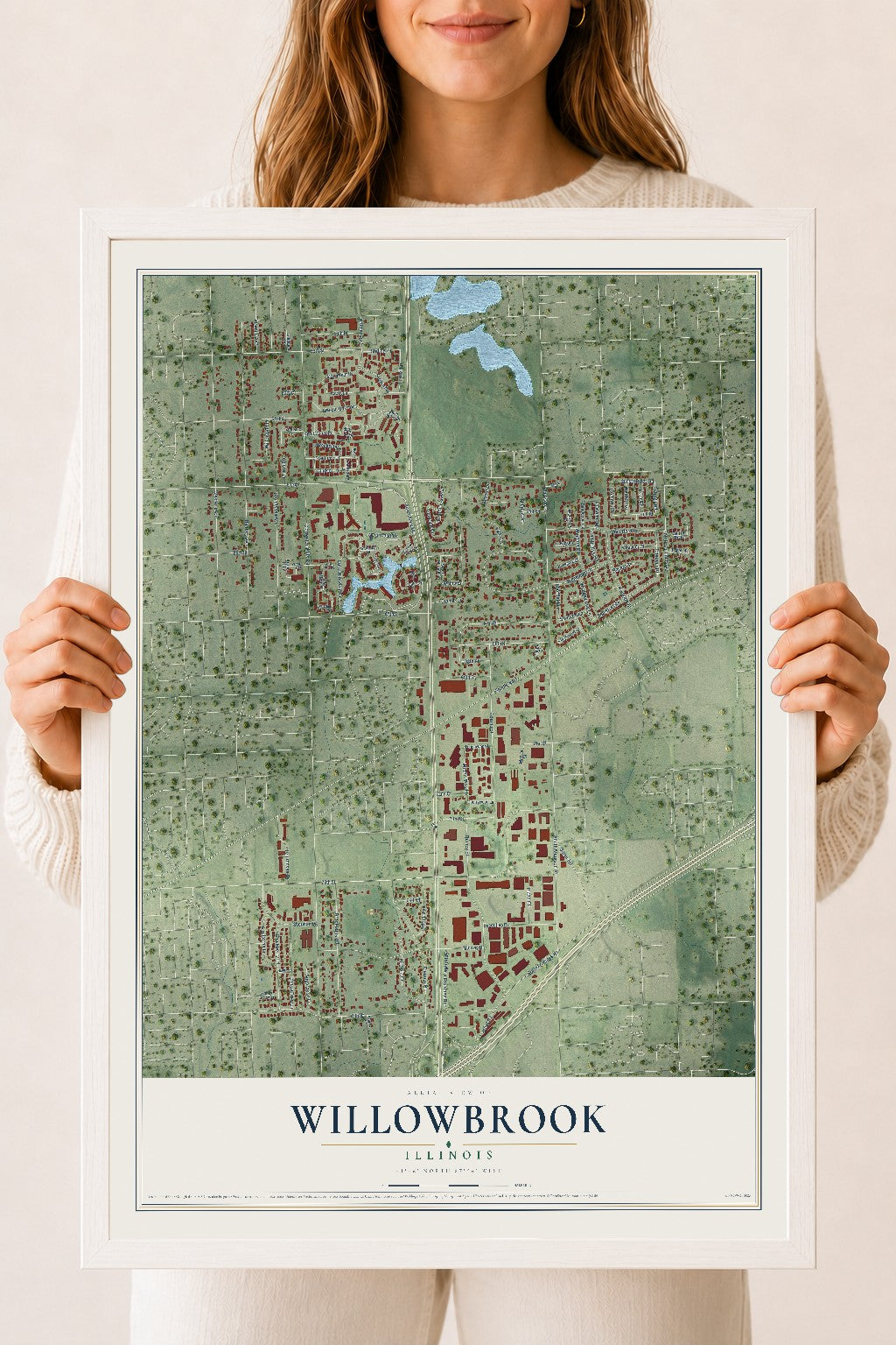 Map of Willowbrook, Illinois, 18 x 24 inch print in a white wood frame