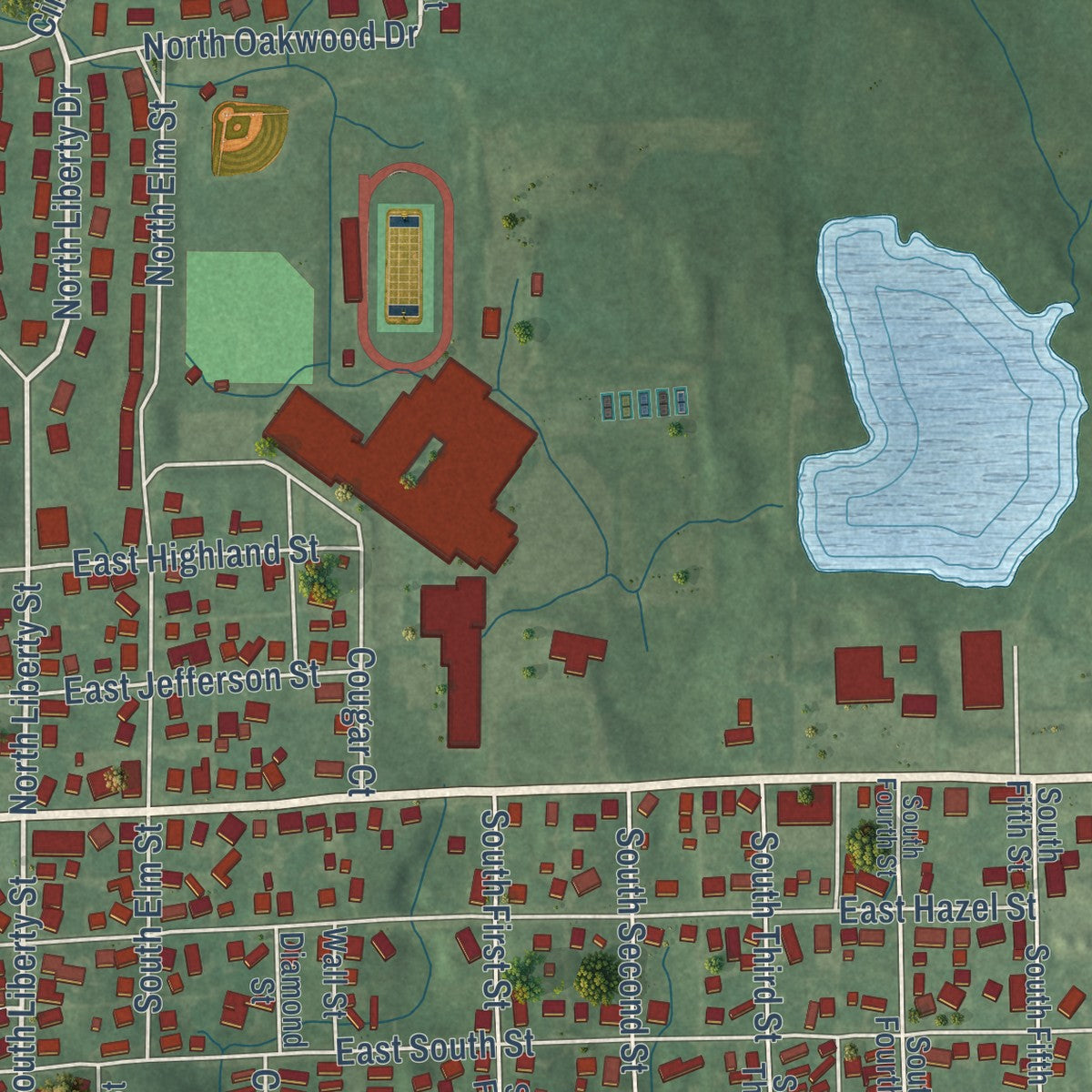 Close-up of the map of Albion, Indiana print showing street and building detail