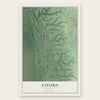Lyford, Indiana map print, the full design