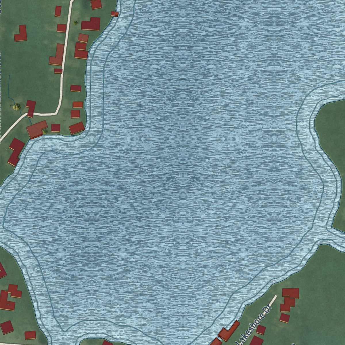 Close-up of the map of Nyona Lake, Indiana print showing street and building detail