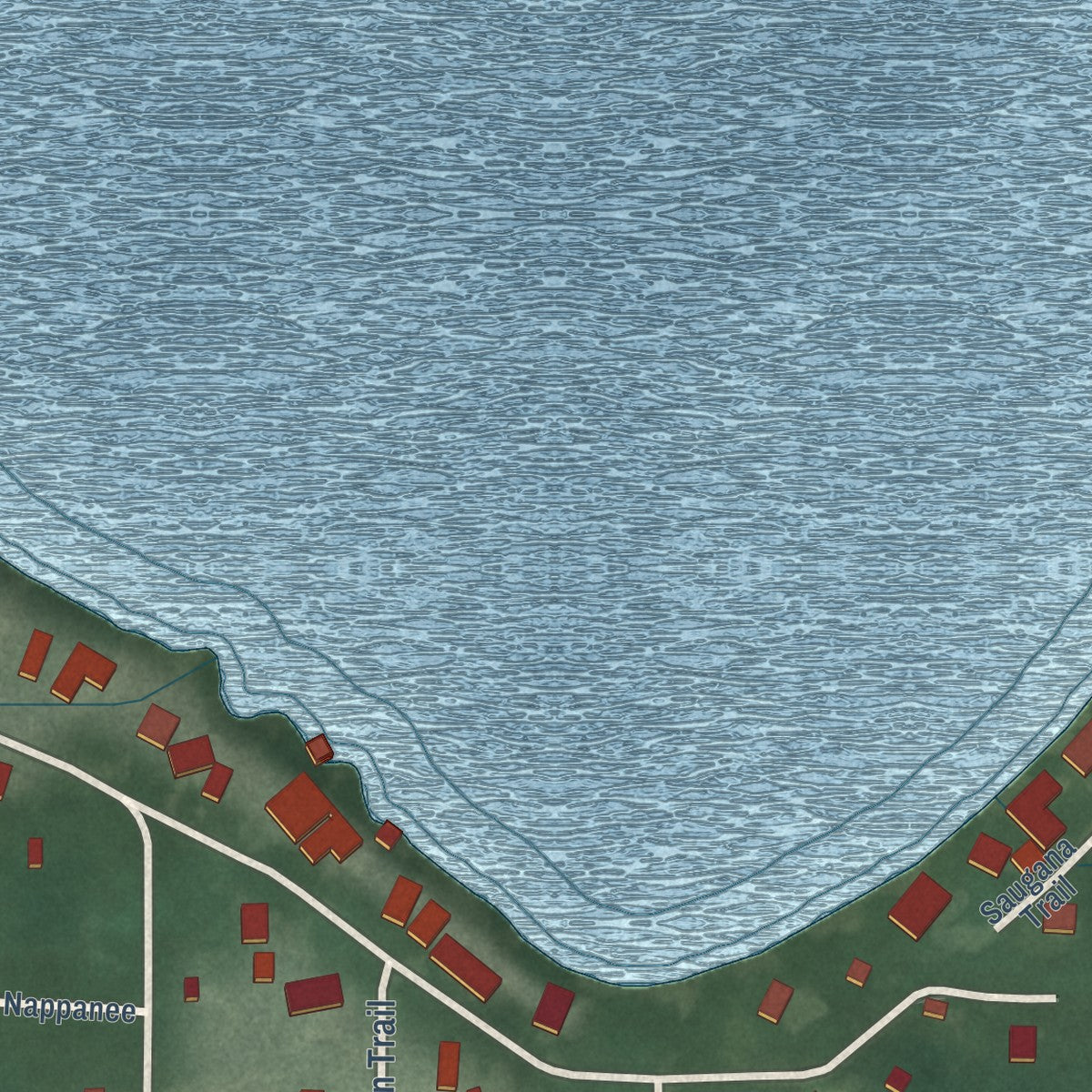 Close-up of the map of Saugany Lake, Indiana print showing street and building detail