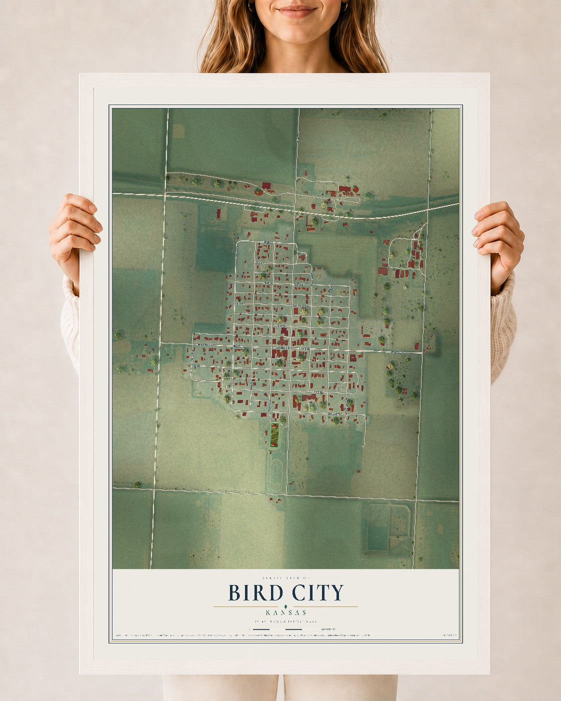 Map of Bird City, Kansas, 24 x 36 inch print in a white wood frame