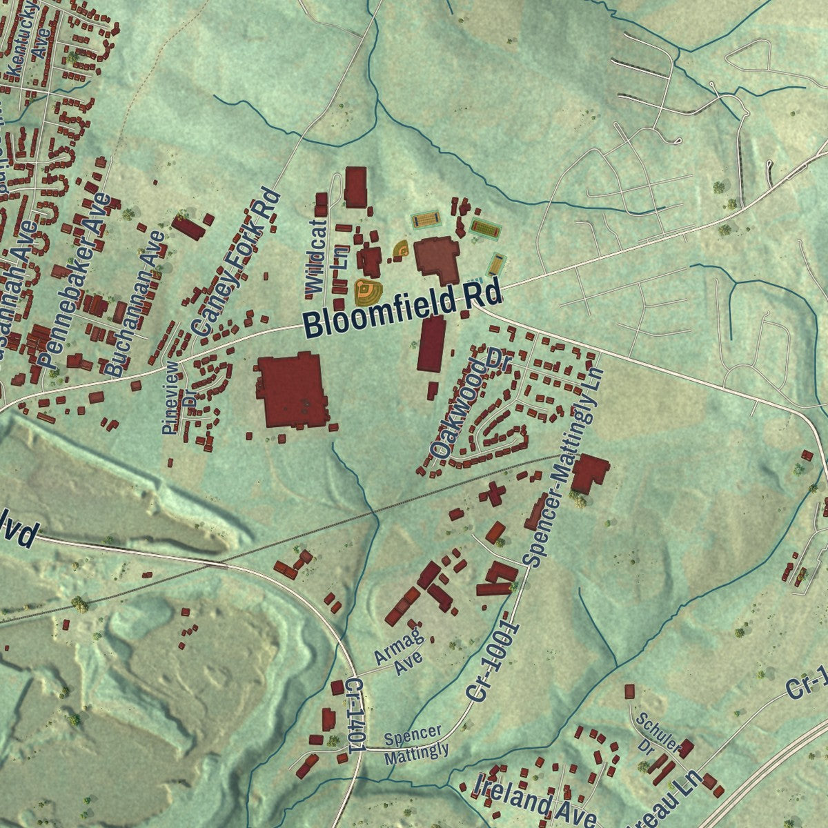 Second close-up of the map of Bardstown, Kentucky print showing more streets and buildings