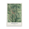 Map of Brooksville, Kentucky, 12 x 18 inch unframed archival matte print