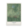 Map of Carlisle, Kentucky, 12 x 18 inch unframed archival matte print