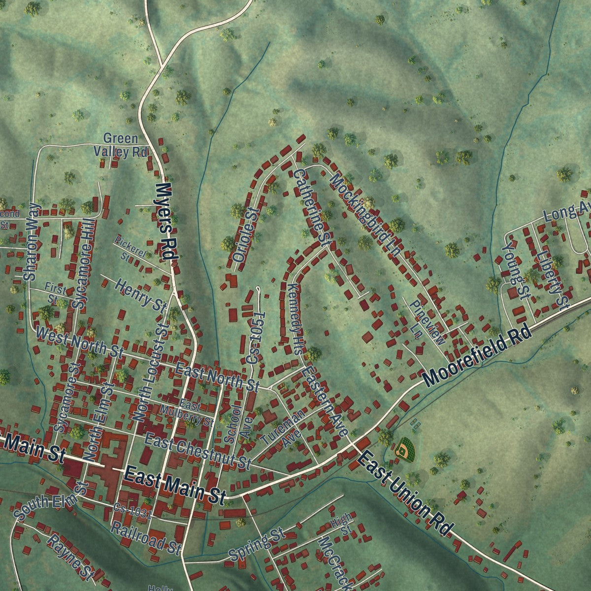 Close-up of the map of Carlisle, Kentucky print showing street and building detail