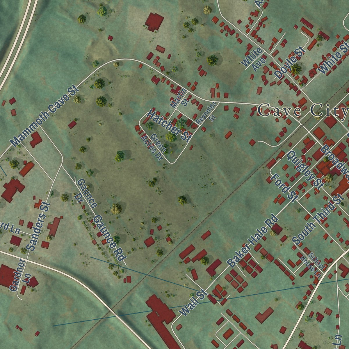 Close-up of the map of Cave City, Kentucky print showing street and building detail