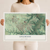 Map of Edgewood, Kentucky, 12 x 18 inch unframed archival matte print