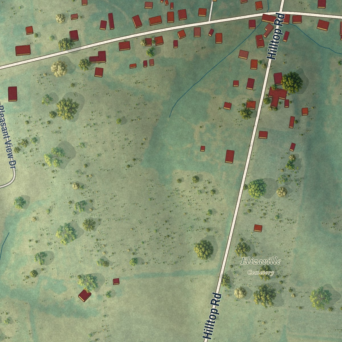 Close-up of the map of Elizaville, Kentucky print showing street and building detail