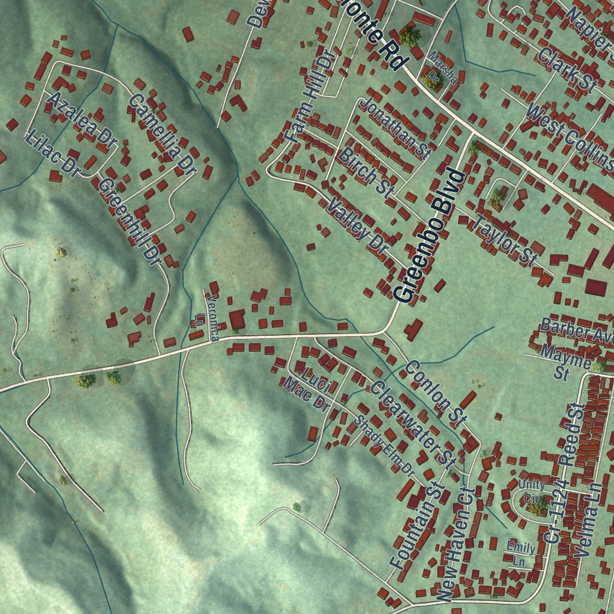 Second close-up of the map of Flatwoods, Kentucky print showing more streets and buildings
