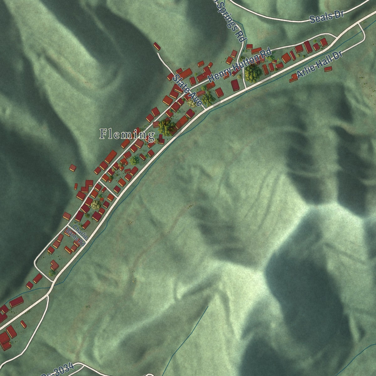 Second close-up of the map of Fleming-Neon, Kentucky print showing more streets and buildings