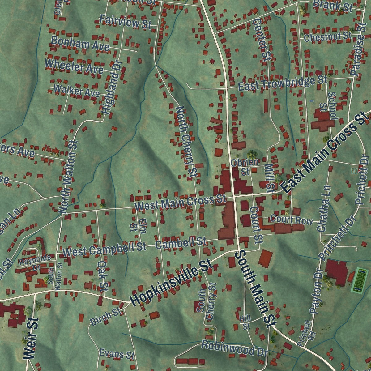 Close-up of the map of Greenville, Kentucky print showing street and building detail