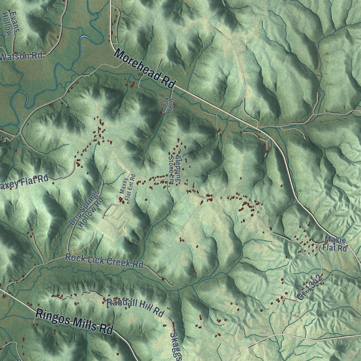 Close-up of the map of Hillsboro, Kentucky print showing street and building detail