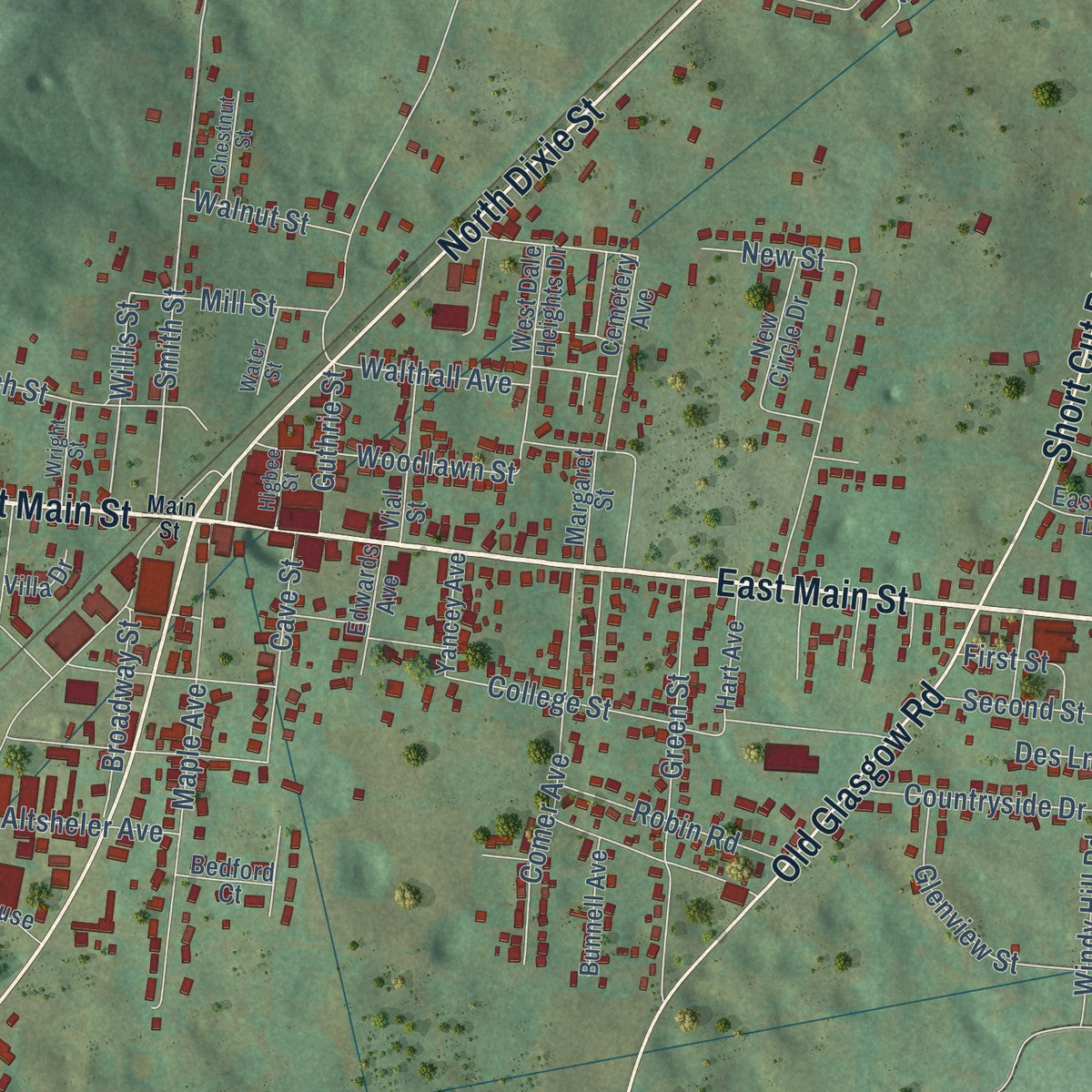 Close-up of the map of Horse Cave, Kentucky print showing street and building detail