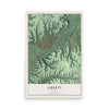 Map of Liberty, Kentucky, 12 x 18 inch unframed archival matte print