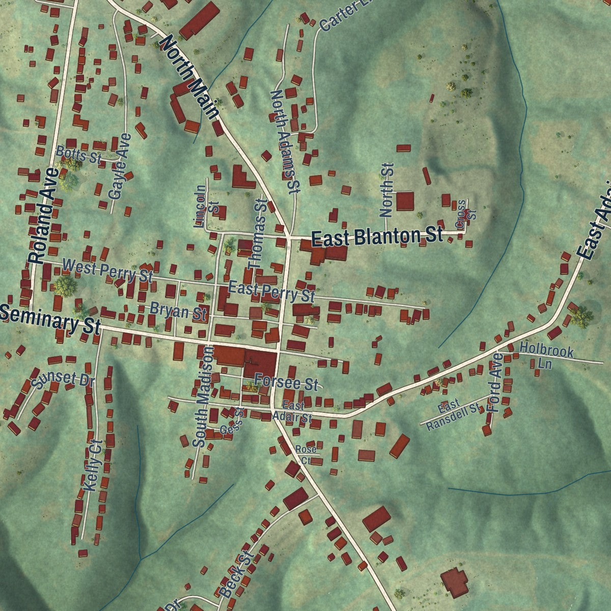 Close-up of the map of Owenton, Kentucky print showing street and building detail