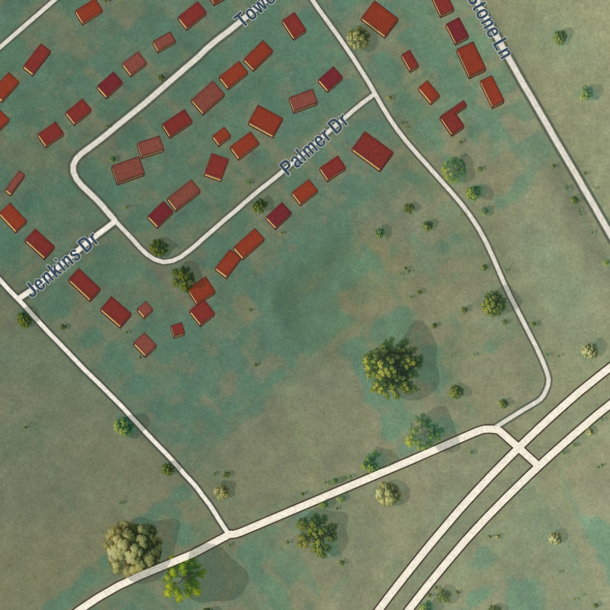 Close-up of the map of Plum Springs, Kentucky print showing street and building detail