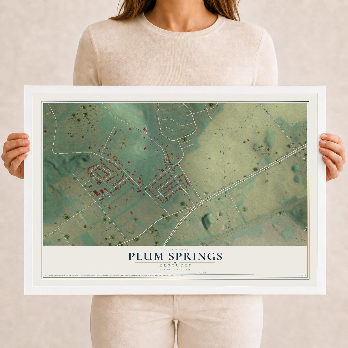 Map of Plum Springs, Kentucky, 12 x 18 inch print in a white wood frame