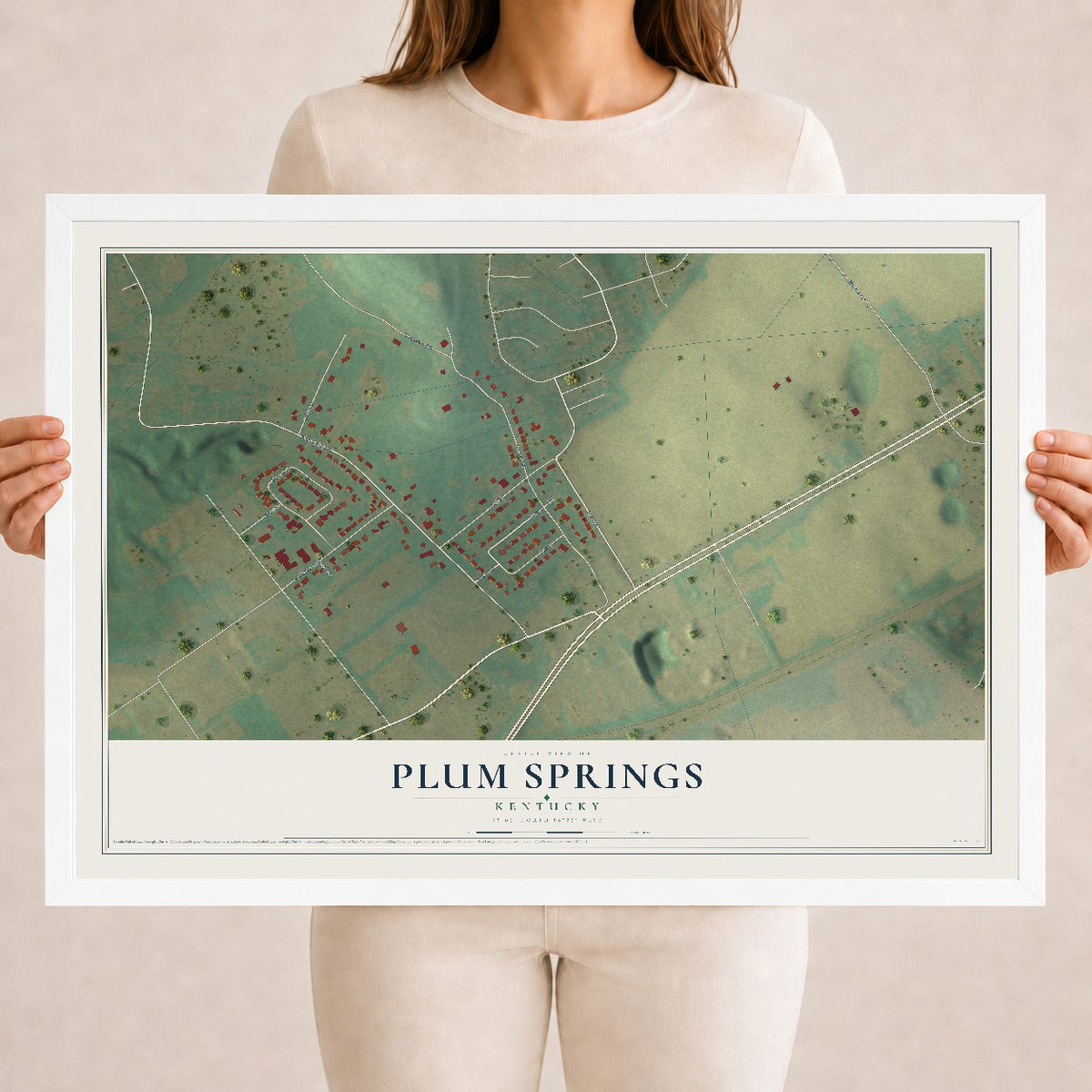 Map of Plum Springs, Kentucky, 18 x 24 inch print in a white wood frame