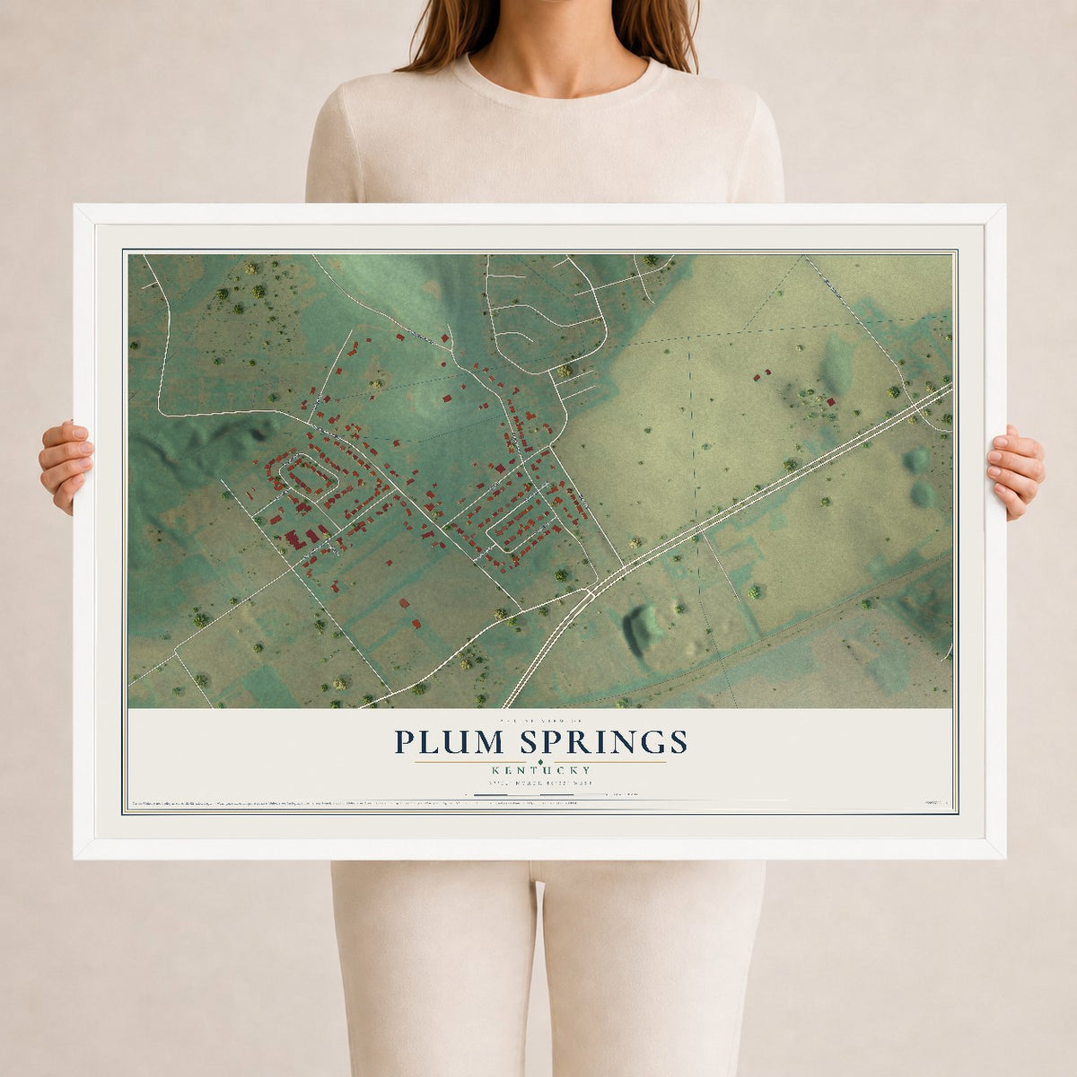 Map of Plum Springs, Kentucky, 24 x 36 inch print in a white wood frame