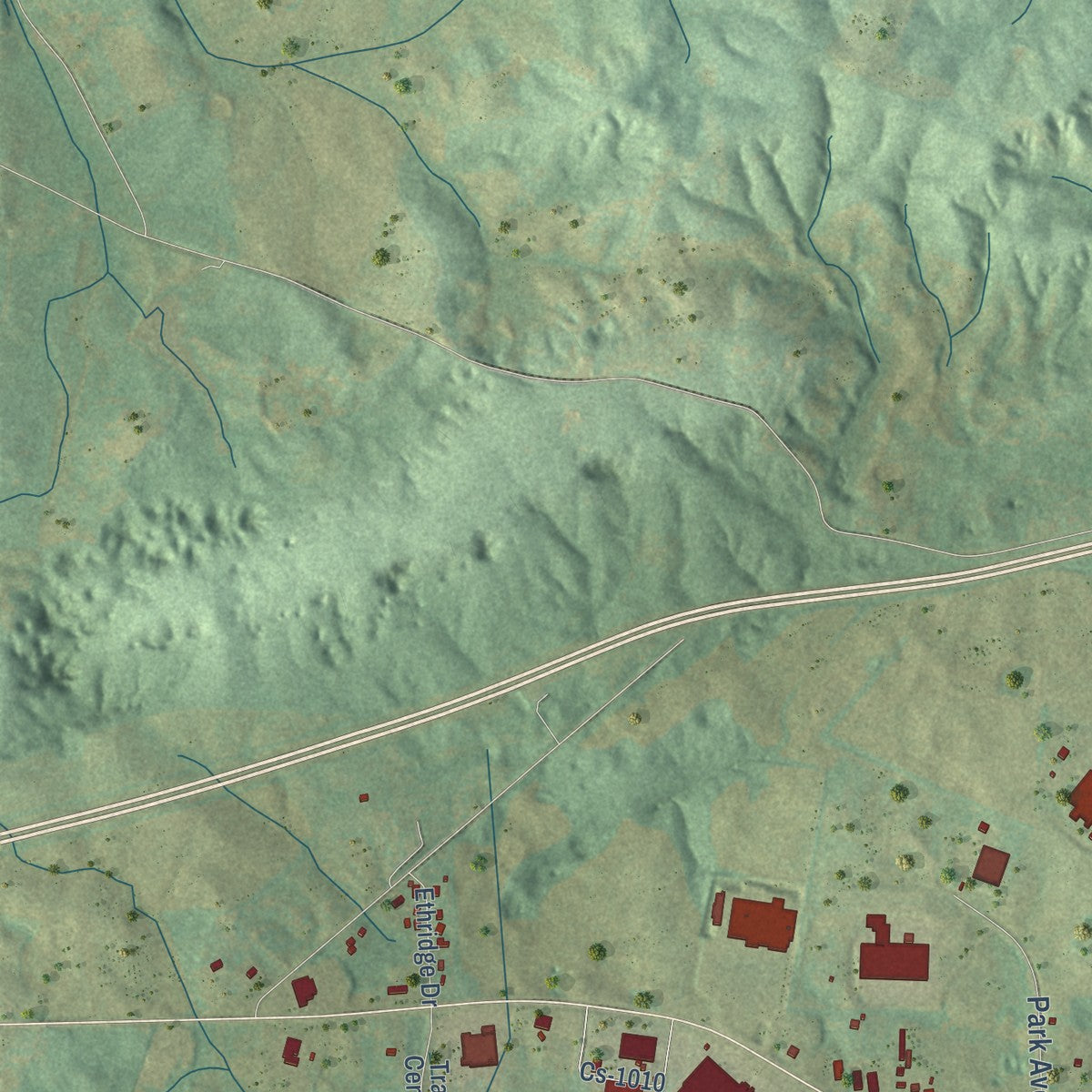 Second close-up of the map of Princeton, Kentucky print showing more streets and buildings