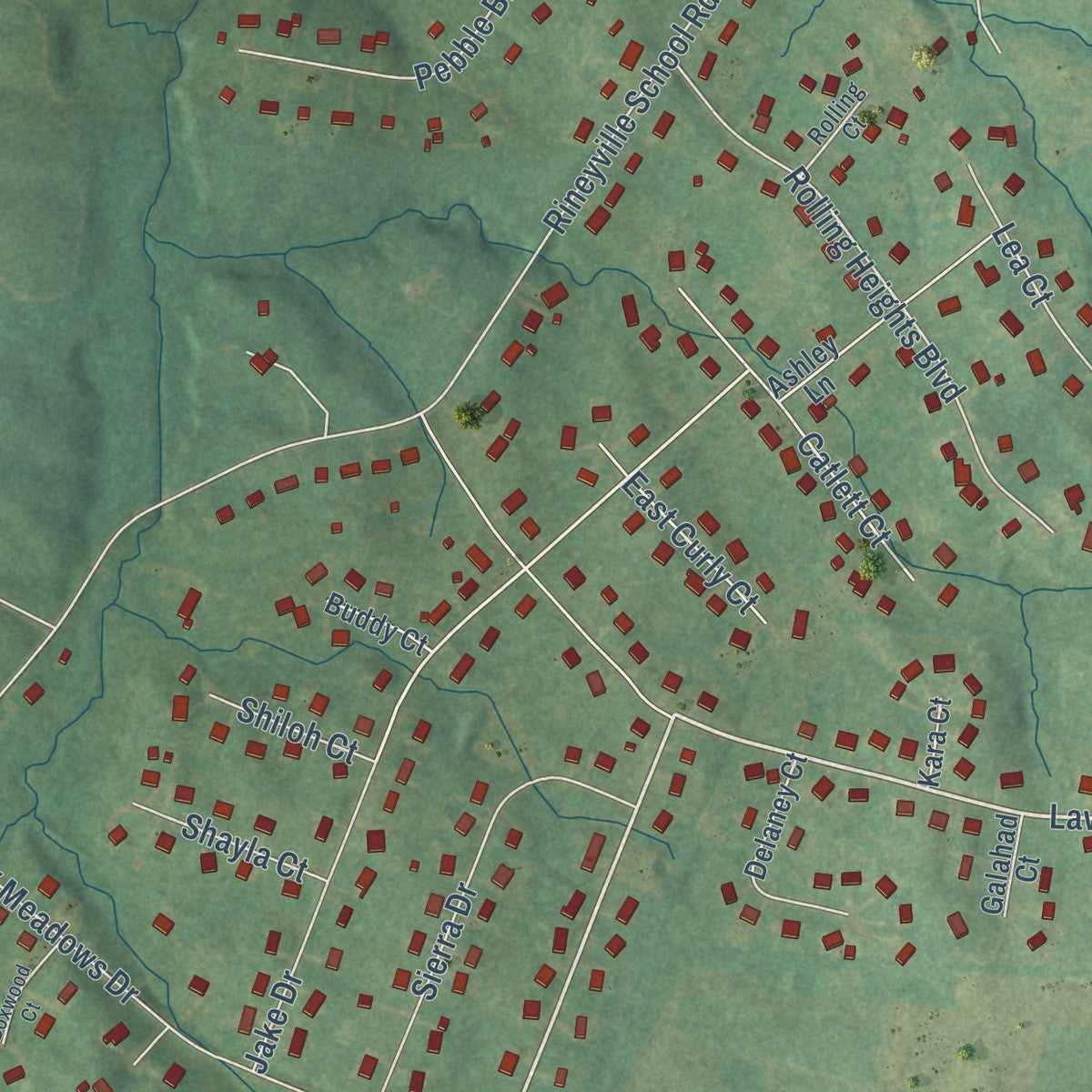Close-up of the map of Rineyville, Kentucky print showing street and building detail