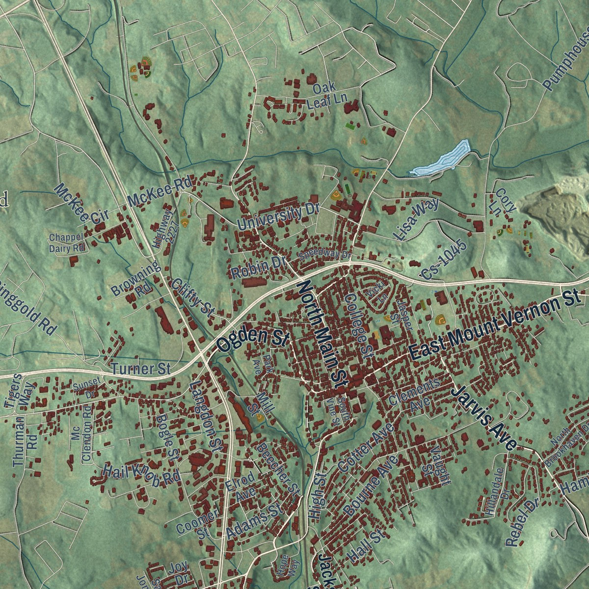 Close-up of the map of Somerset, Kentucky print showing street and building detail
