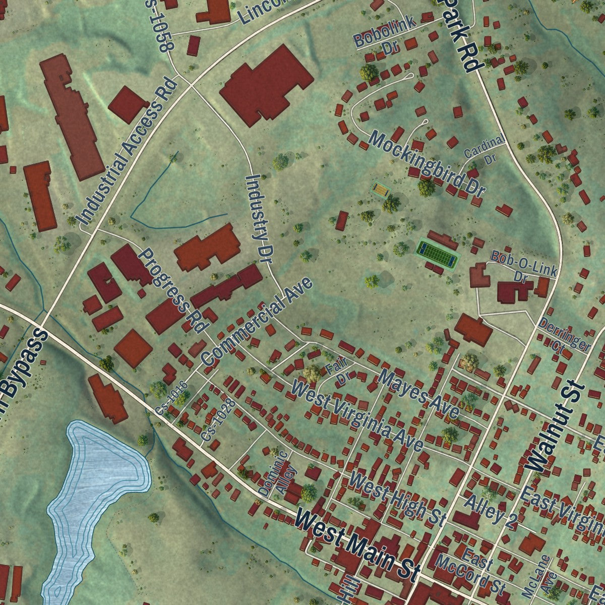 Close-up of the map of Springfield, Kentucky print showing street and building detail