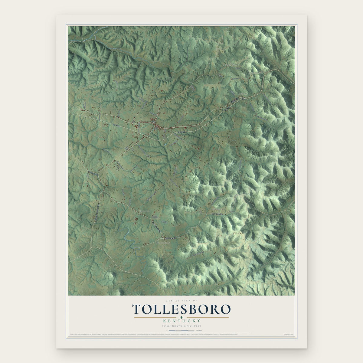 Tollesboro, Kentucky map print, the full design