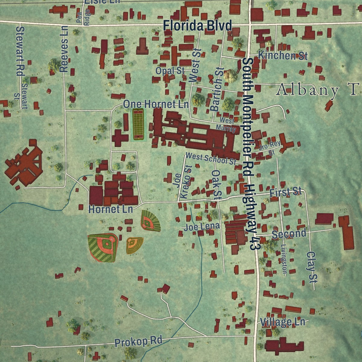 Close-up of the map of Albany, Louisiana print showing street and building detail
