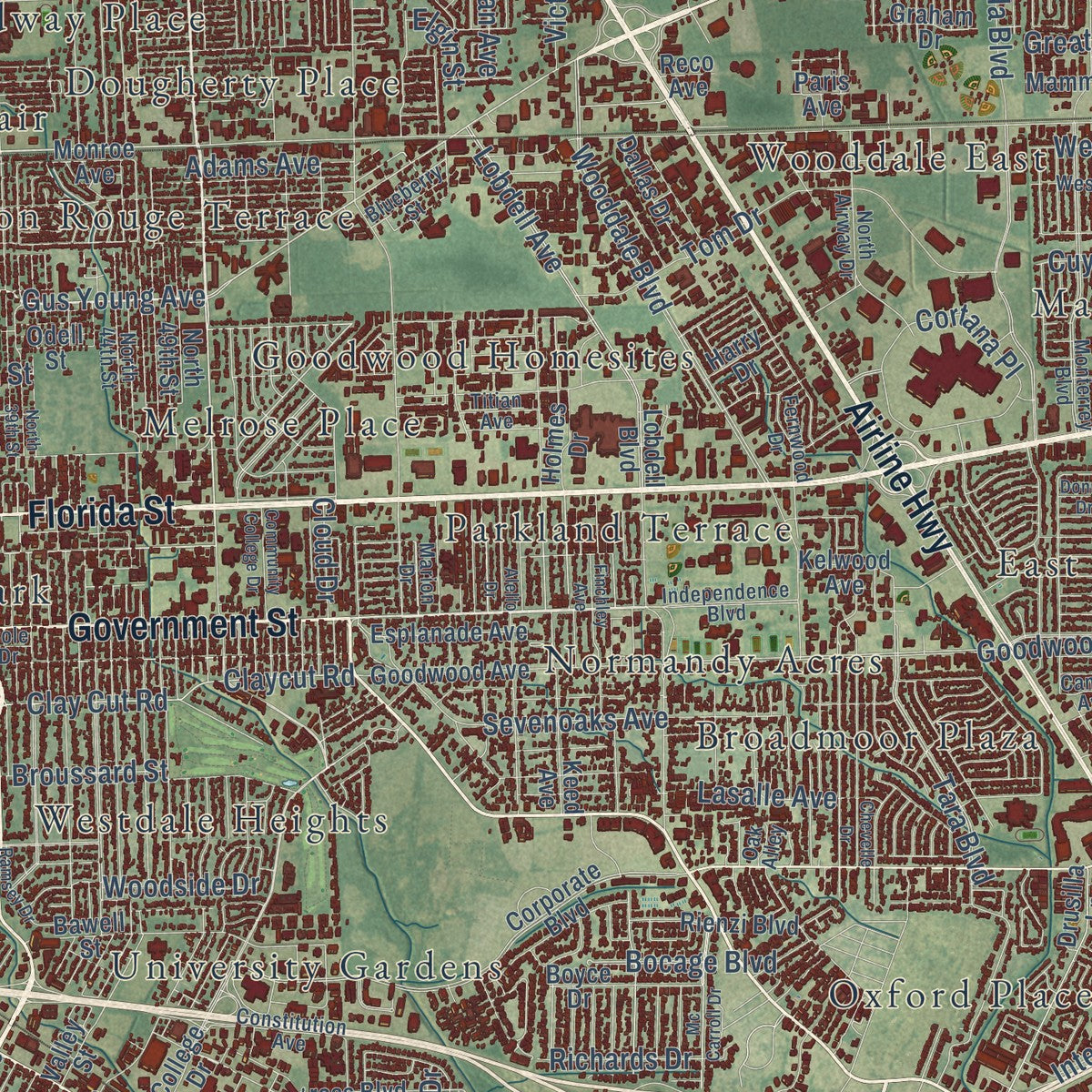 Close-up of the map of Baton Rouge, Louisiana print showing street and building detail