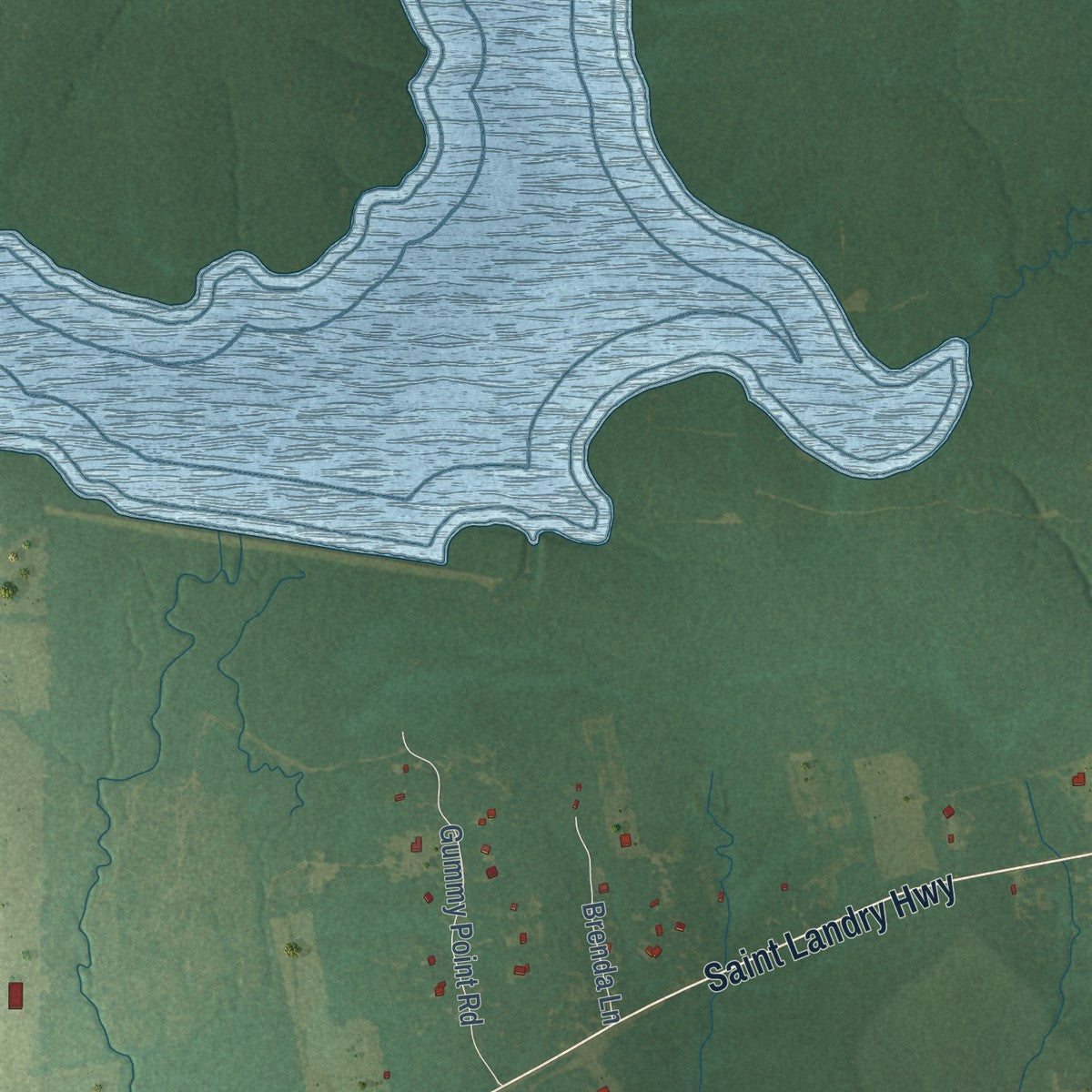 Close-up of the map of Bayou Chicot, Louisiana print showing street and building detail